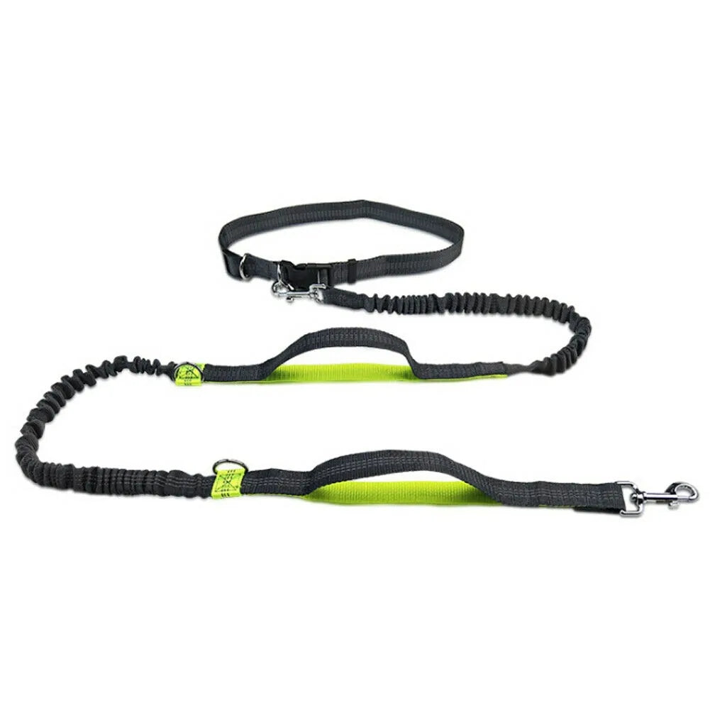 Reflective Rope Pet Leash Durable Walking Lead for Dogs Cats