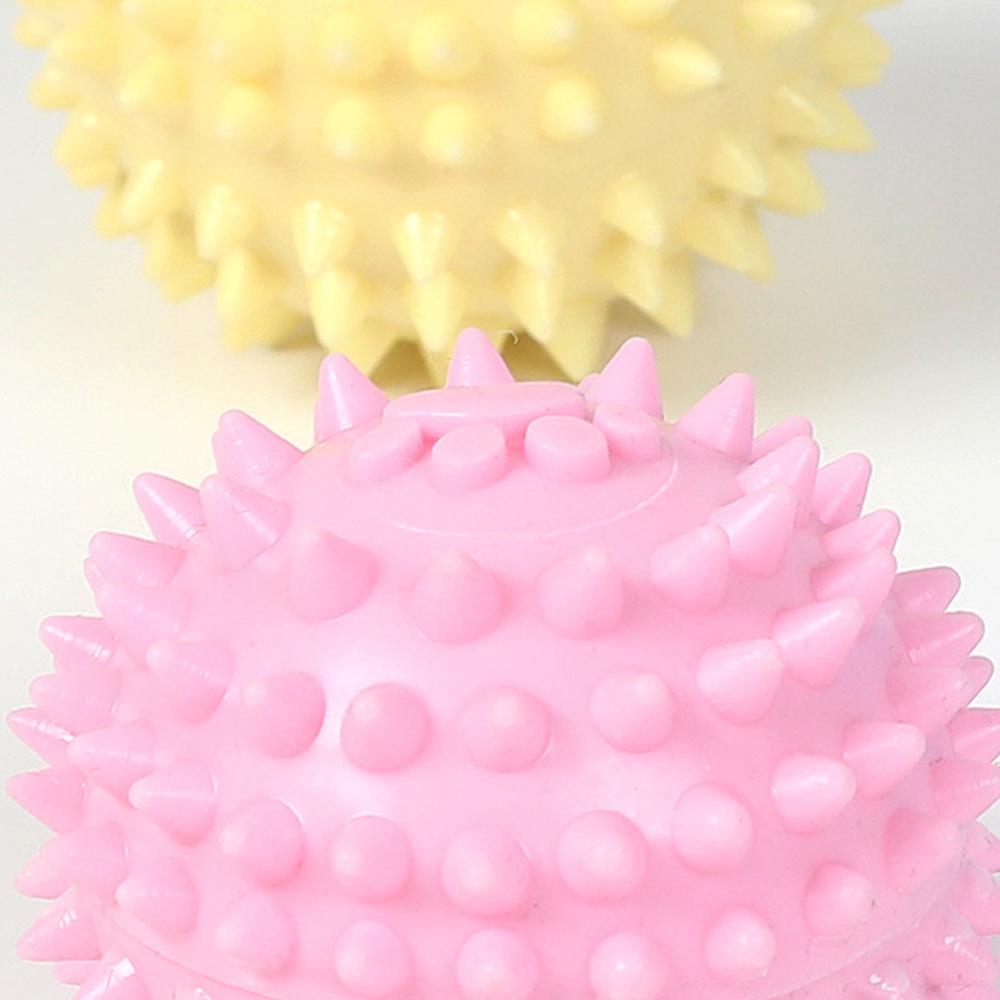 Interactive Pet Molars Toy for Dogs Teeth Cleaning Play