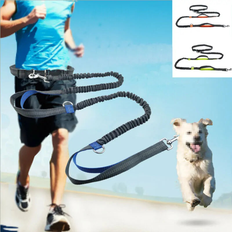 Reflective Rope Pet Leash Durable Walking Lead for Dogs Cats
