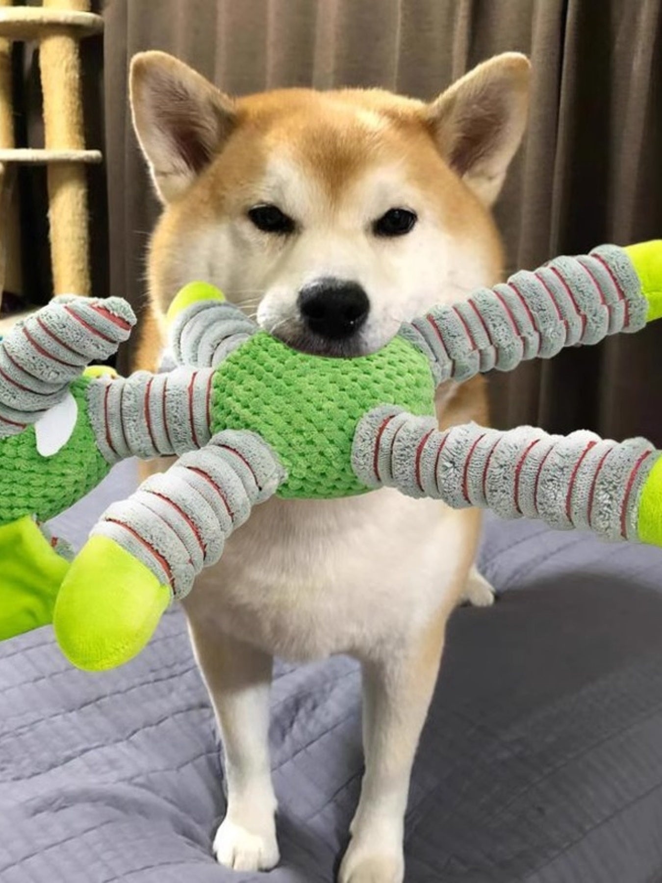 Soft Plush Animal Pet Toys for Dogs Cats Interactive Playtime