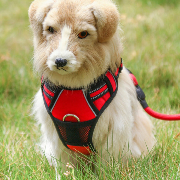 Reflective Pet Harness and Explosion-Proof Leash for Dogs Walking