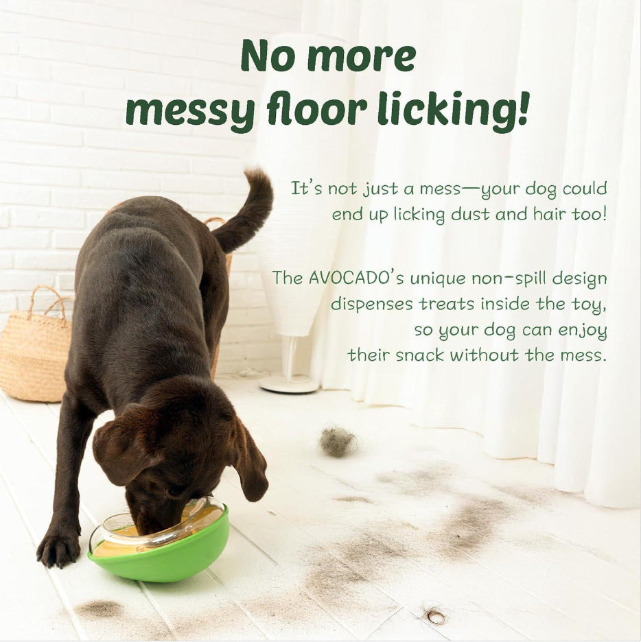 Anti-Tumble Avocado Pet Feeding Bowl for Cats and Dogs Daily