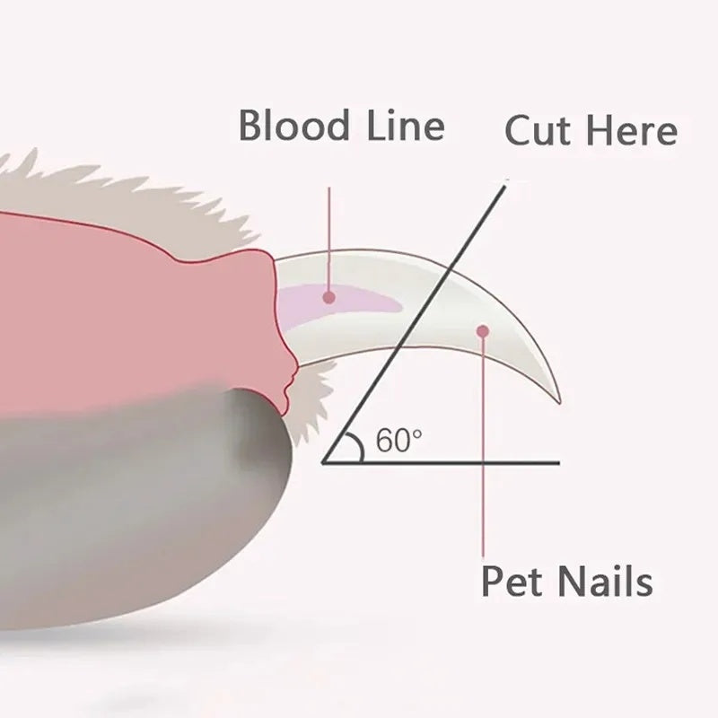 LED Pet Nail Clippers Safe Grooming Tool for Cats Dogs