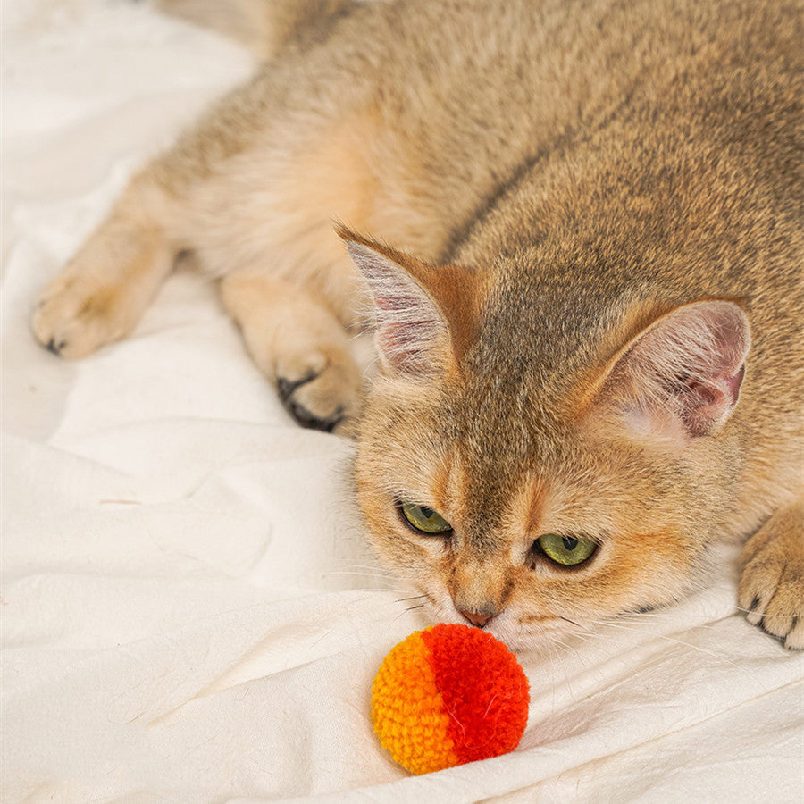 Quiet Hair Ball Pet Toy for Cats Interactive Indoor Play