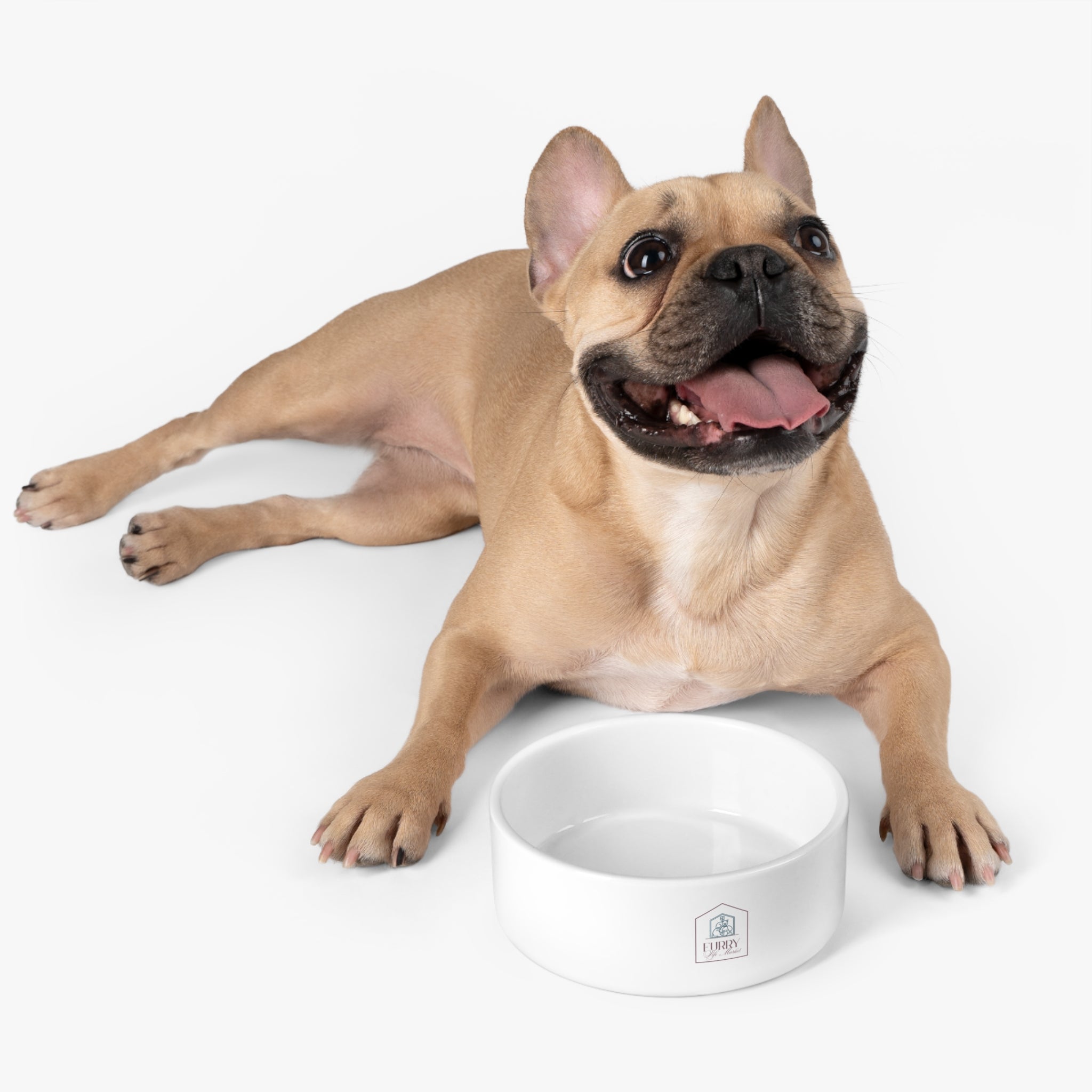 Ceramic Pet Bowl with Custom Home Logo — Personalized Dog & Cat Feeder