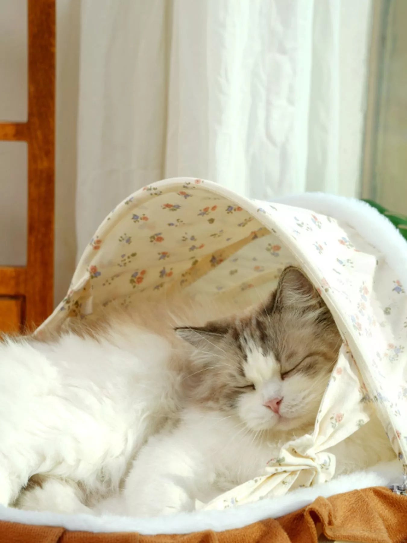 Rocking Pet Bed with Canopy Comfortable Cozy Sleeping Lounge Cushion