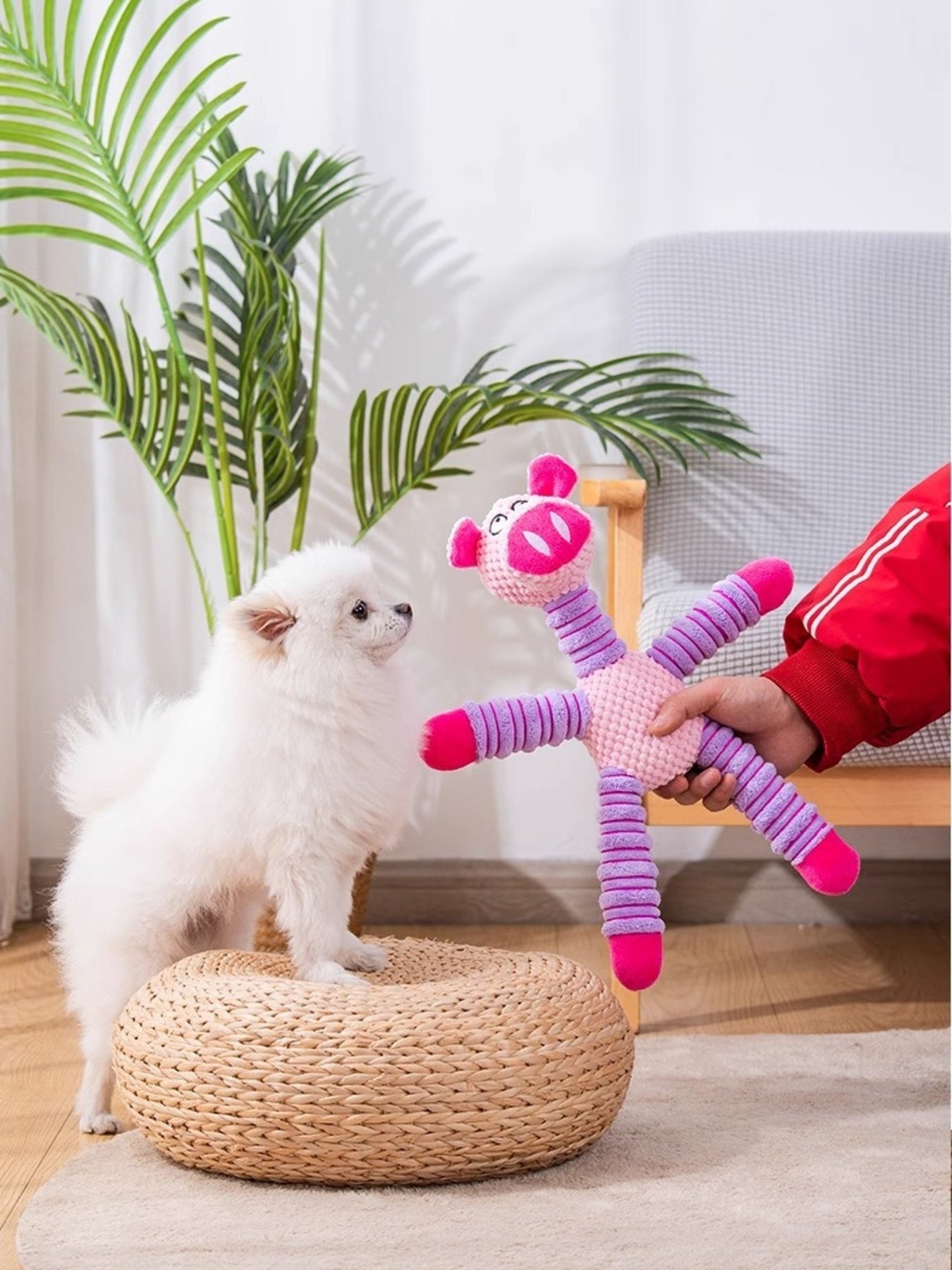 Soft Plush Animal Pet Toys for Dogs Cats Interactive Playtime