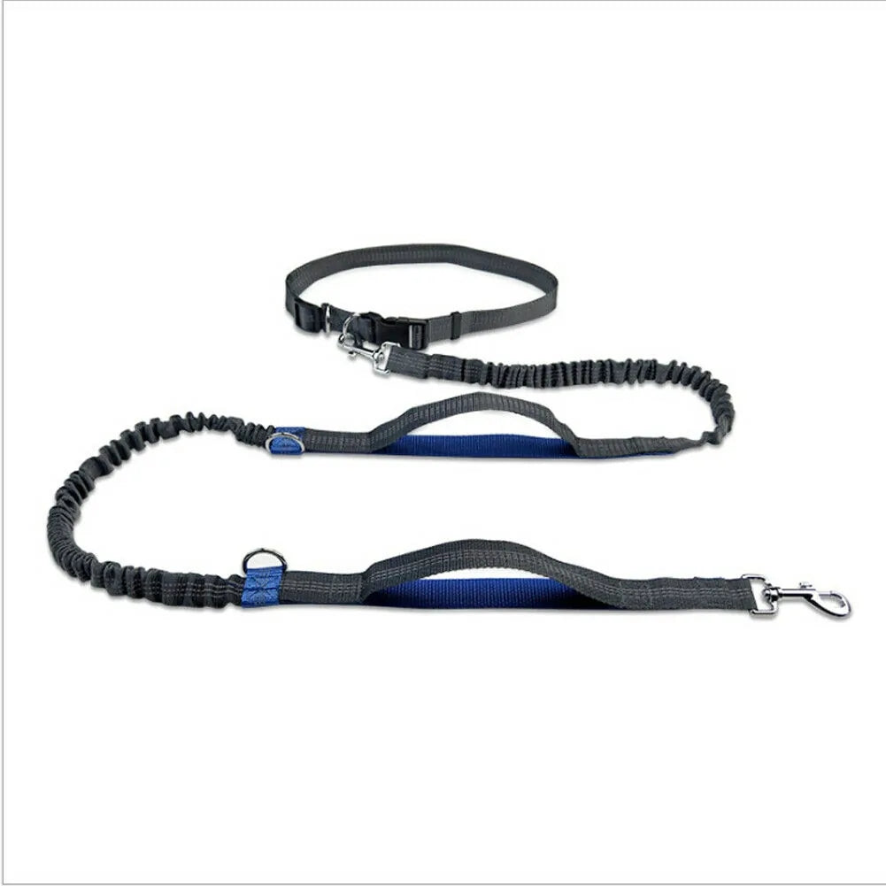 Reflective Rope Pet Leash Durable Walking Lead for Dogs Cats