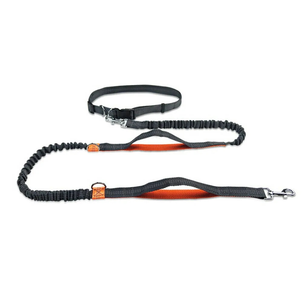 Reflective Rope Pet Leash Durable Walking Lead for Dogs Cats