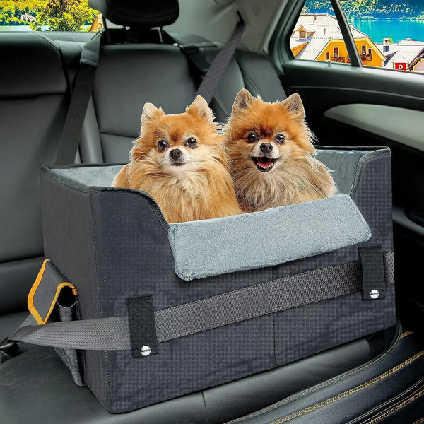 Car crates and carriers