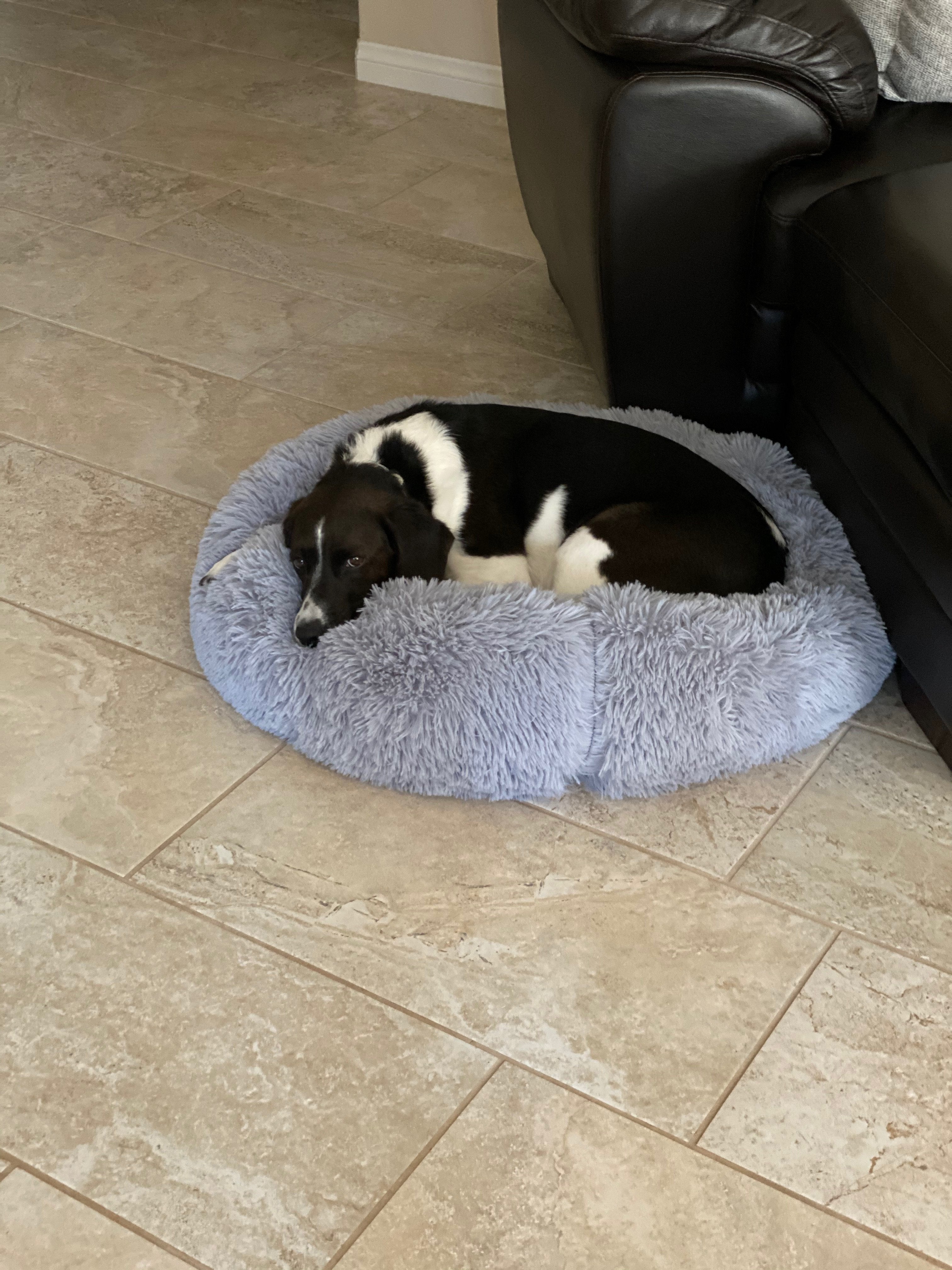 OrthoPlush Pet Bed Snowflake White Two Tone Comfortable Sleeping Cushion