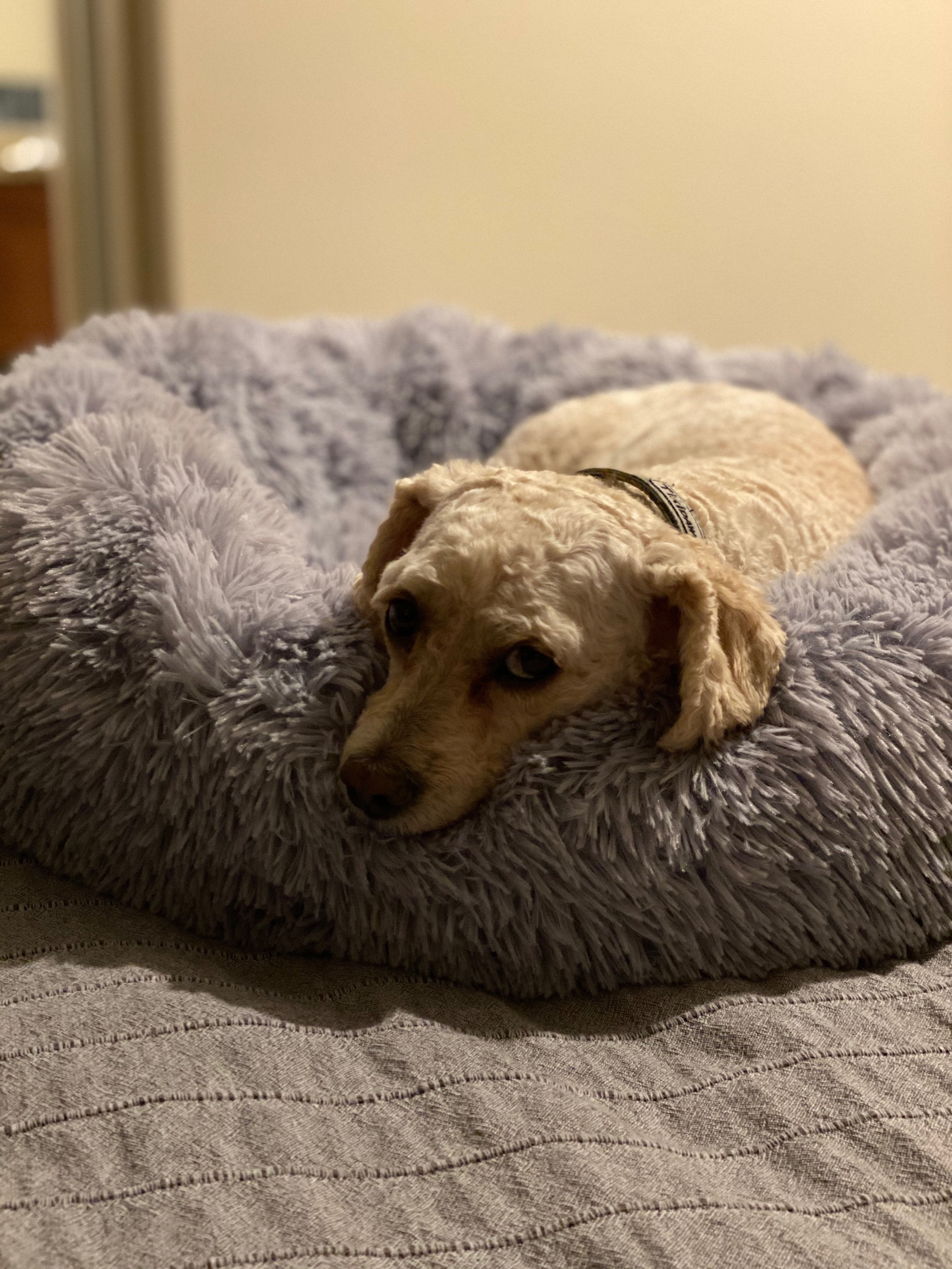 OrthoPlush Pet Bed Snowflake White Two Tone Comfortable Sleeping Cushion