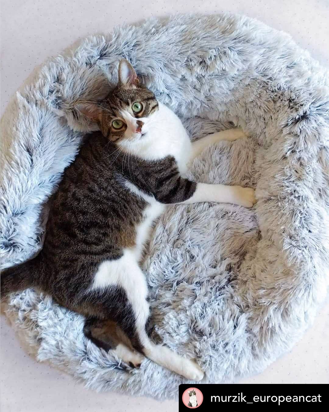 OrthoPlush Pet Bed Snowflake White Two Tone Comfortable Sleeping Cushion