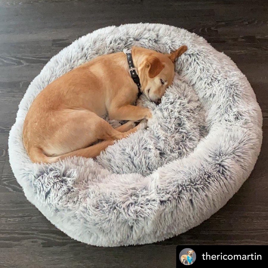 OrthoPlush Pet Bed Snowflake White Two Tone Comfortable Sleeping Cushion