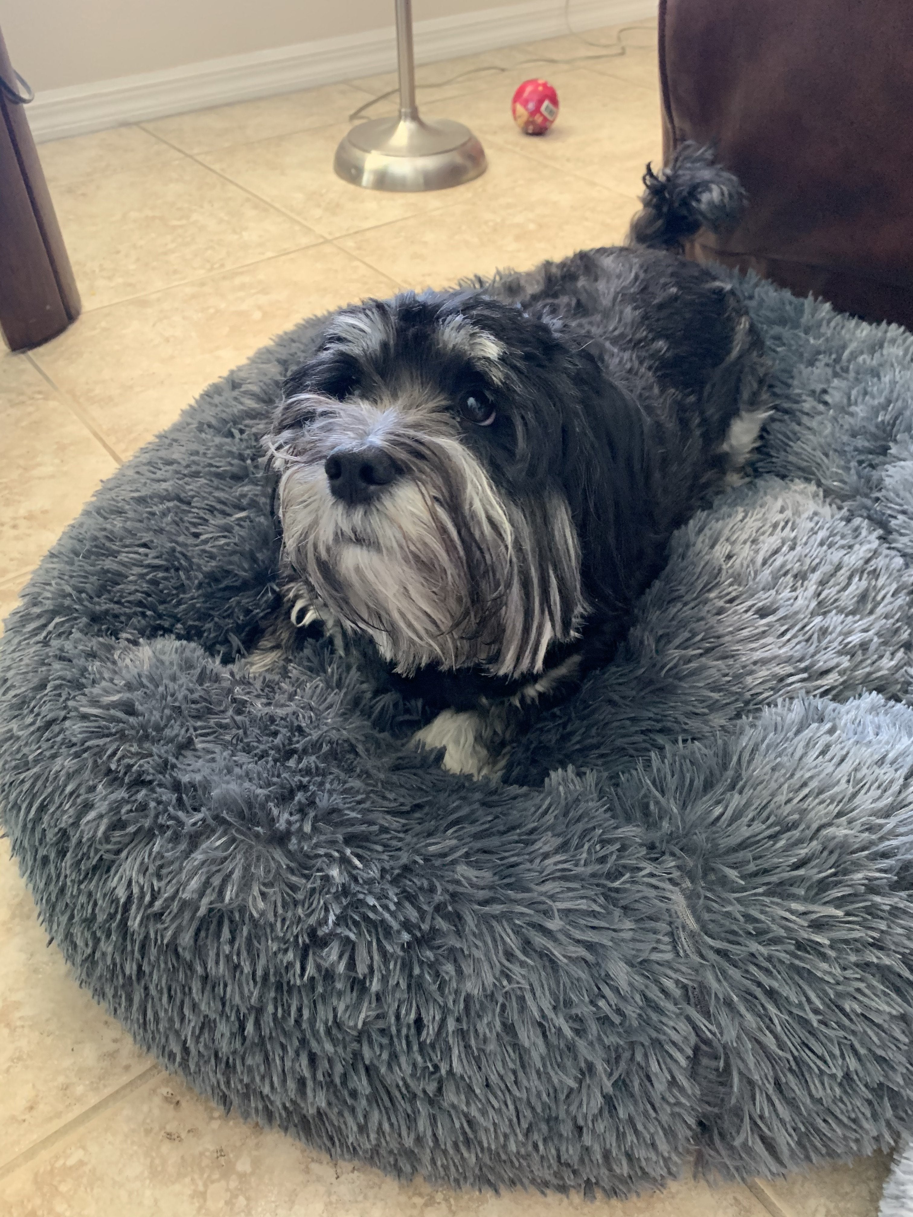 OrthoPlush Pet Bed Snowflake White Two Tone Comfortable Sleeping Cushion