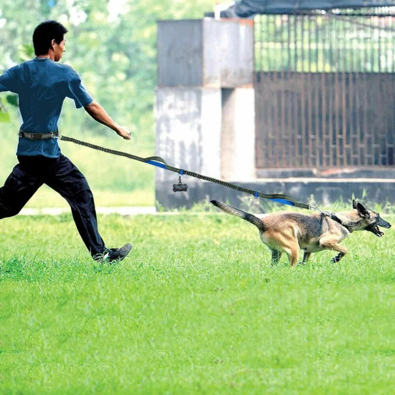 Reflective Rope Pet Leash Durable Walking Lead for Dogs Cats