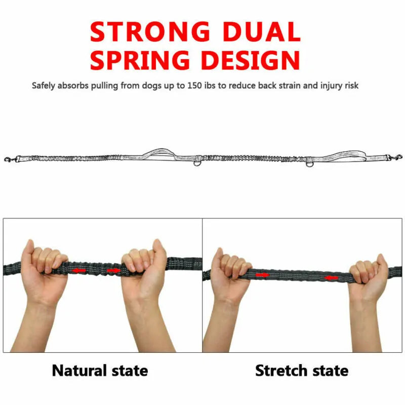 Reflective Rope Pet Leash Durable Walking Lead for Dogs Cats