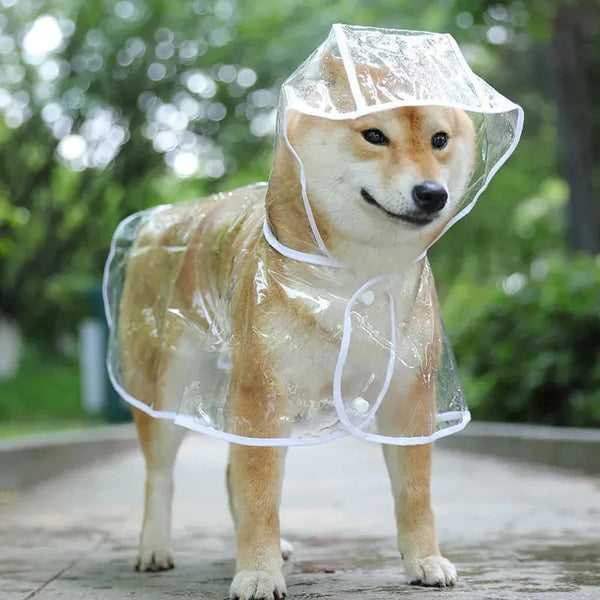pet raincoat