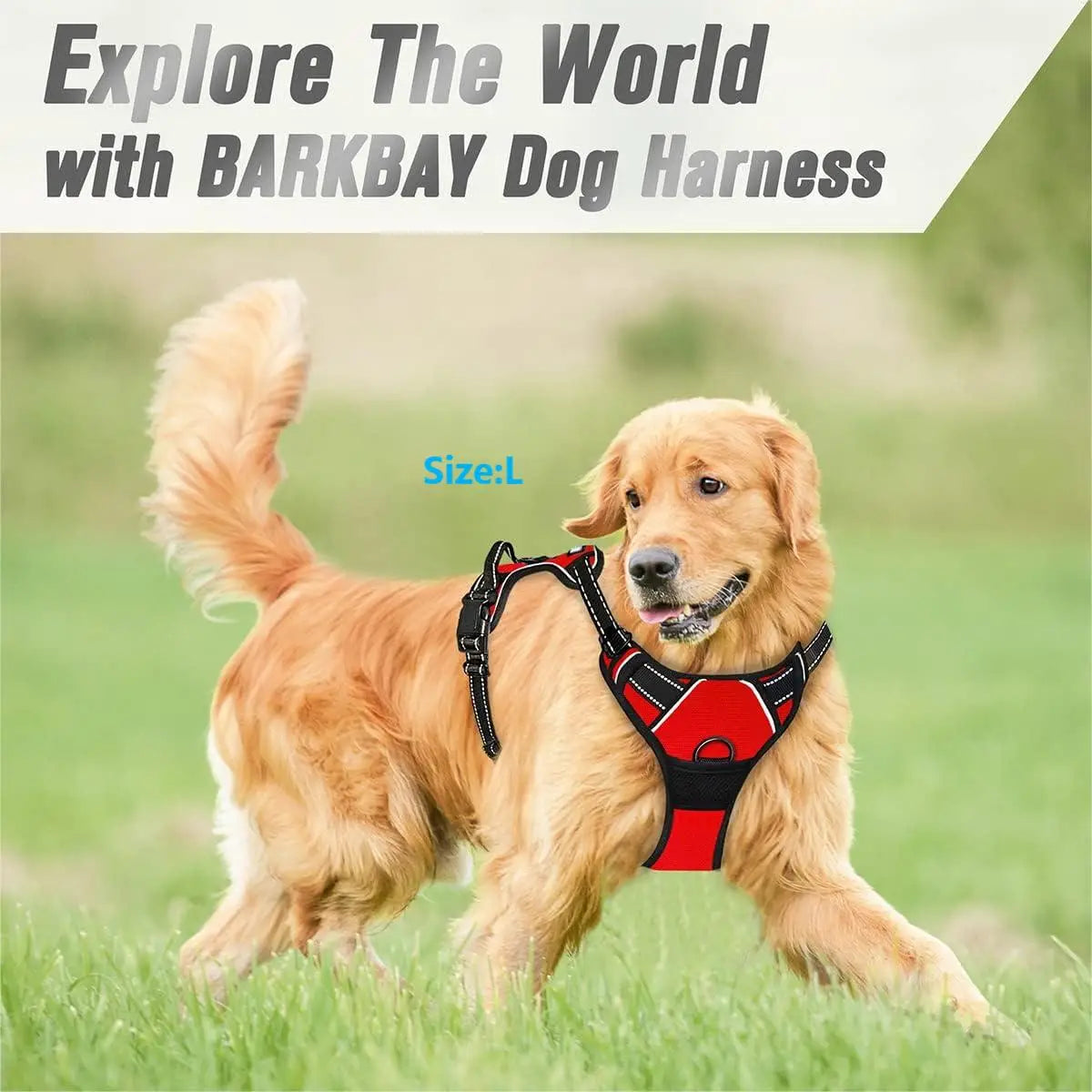 No Pull Reflective Dog Harness with Handle for Large Dogs