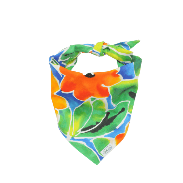 pet bandanas