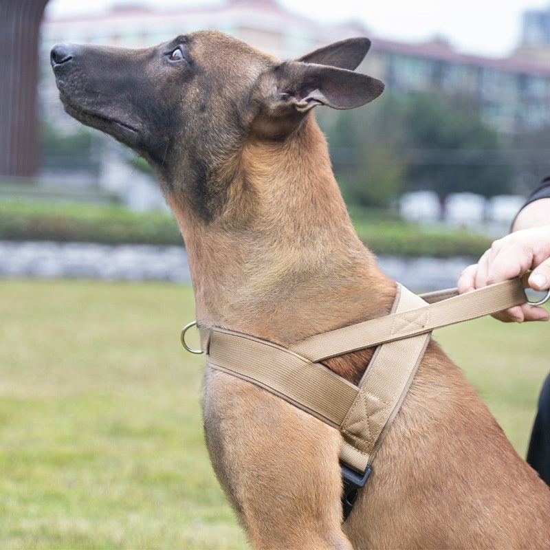 Dog Vest Style Collar and Harness Adjustable Walking Pet Gear