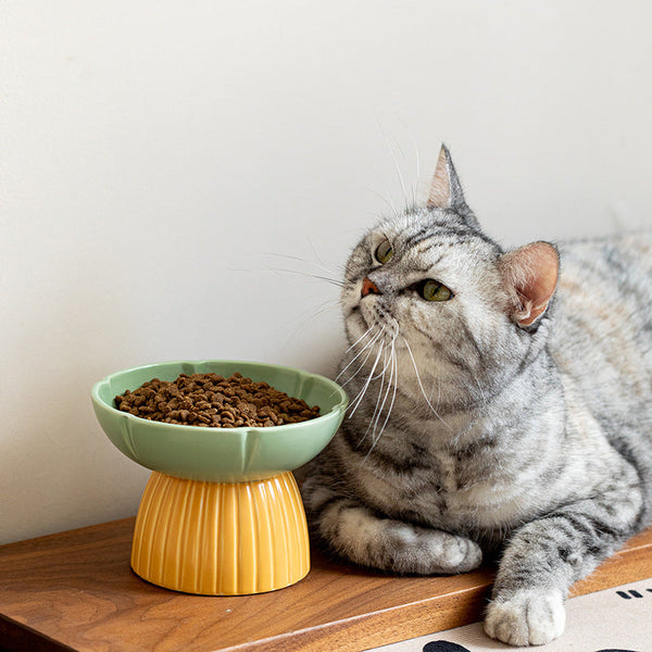 Ceramic Pet Feeding Bowl Macaron Candy Color for Cats Dogs