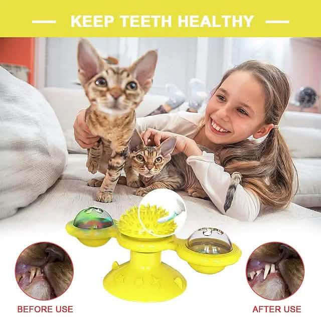 Interactive Cat Teaser Toy for Fun Pet Exercise and Play