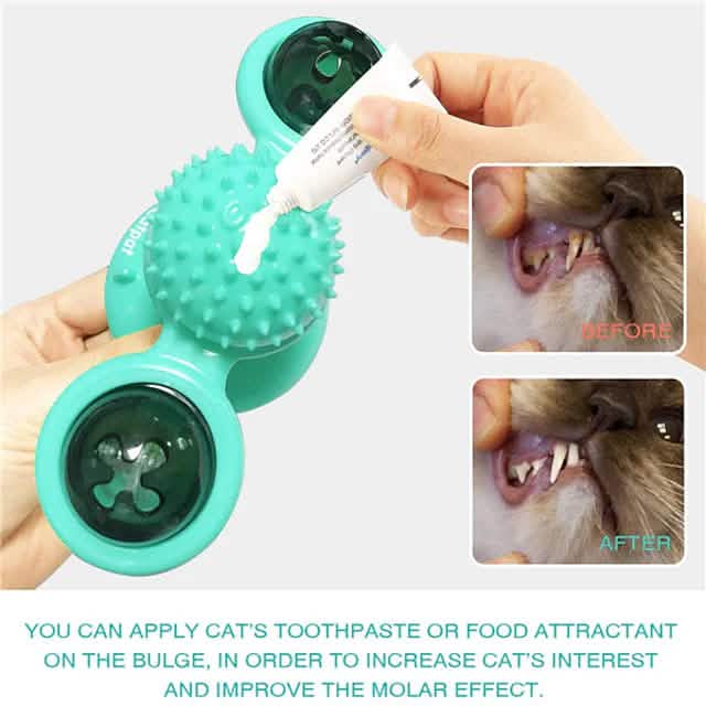 Interactive Cat Teaser Toy for Fun Pet Exercise and Play