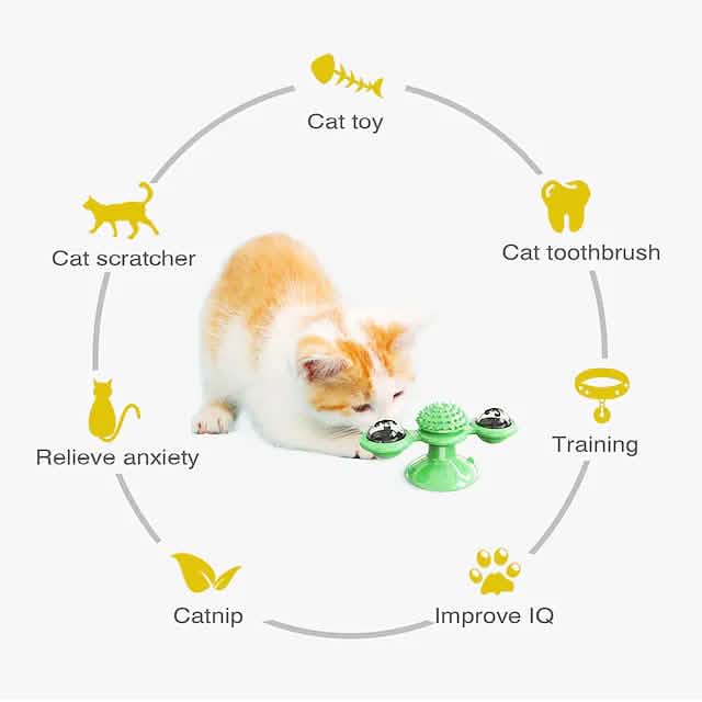 Interactive Cat Teaser Toy for Fun Pet Exercise and Play