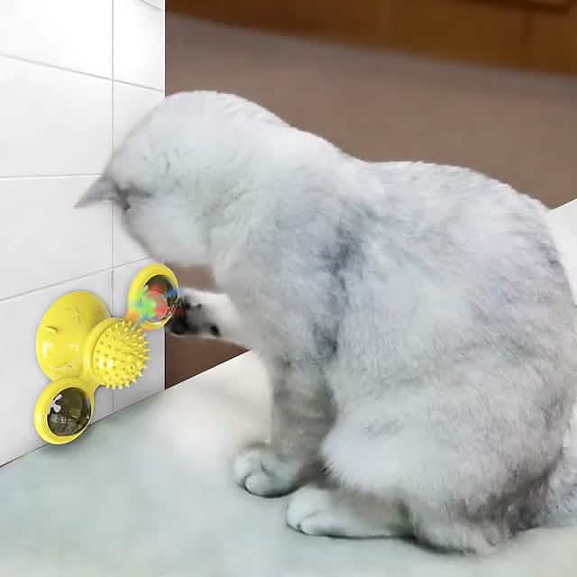 Interactive Cat Teaser Toy for Fun Pet Exercise and Play