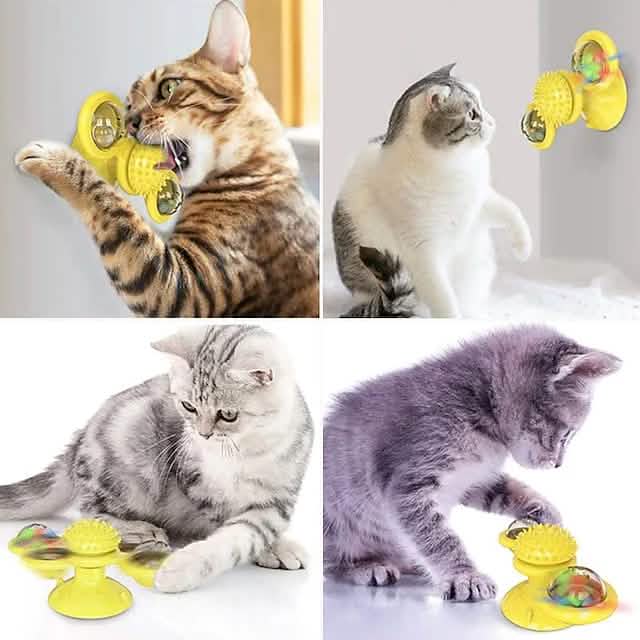 Interactive Cat Teaser Toy for Fun Pet Exercise and Play