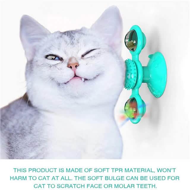 Interactive Cat Teaser Toy for Fun Pet Exercise and Play