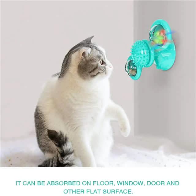 Interactive Cat Teaser Toy for Fun Pet Exercise and Play