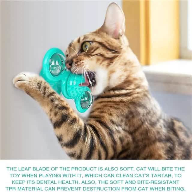 Interactive Cat Teaser Toy for Fun Pet Exercise and Play