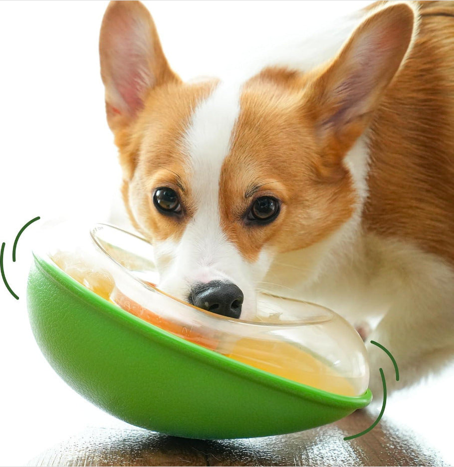 Anti-Tumble Avocado Pet Feeding Bowl for Cats and Dogs Daily