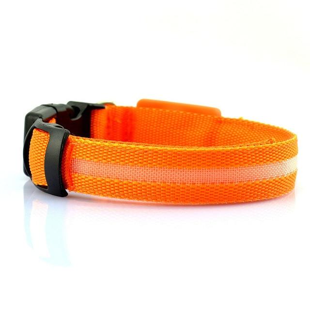 USB Rechargeable LED Pet Dog Collar for Night Walking Safety