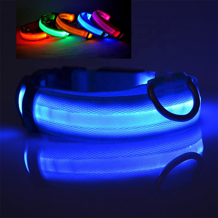 USB Rechargeable LED Pet Dog Collar for Night Walking Safety