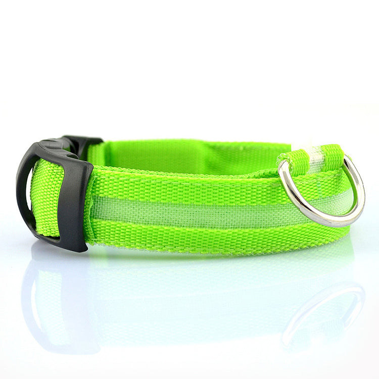 USB Rechargeable LED Pet Dog Collar for Night Walking Safety