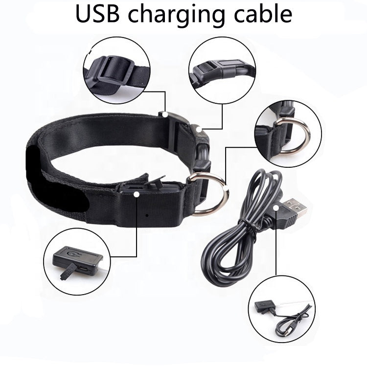 USB Rechargeable LED Pet Dog Collar for Night Walking Safety
