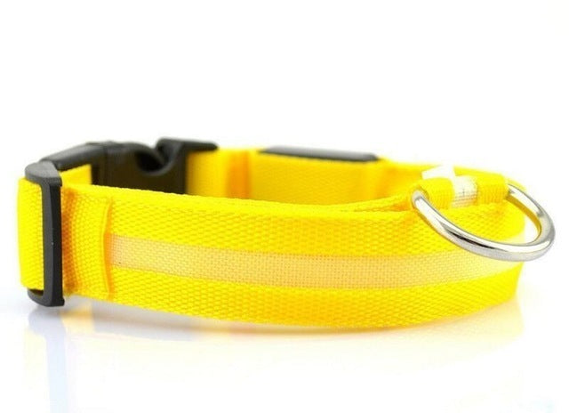 USB Rechargeable LED Pet Dog Collar for Night Walking Safety