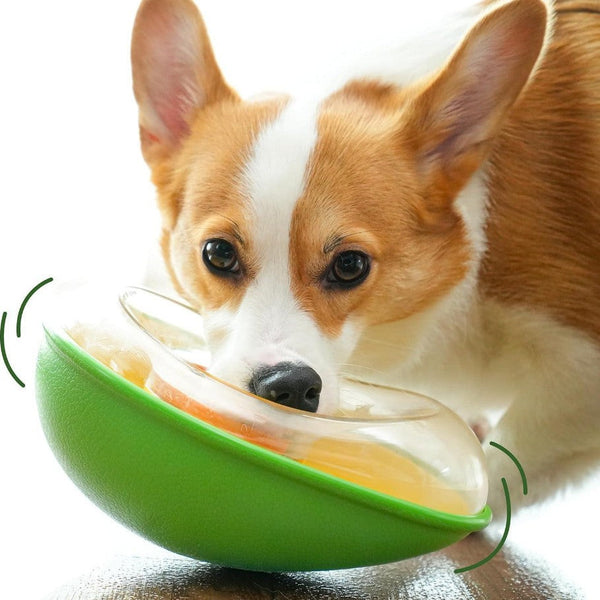 Anti-Tumble Avocado Pet Feeding Bowl for Cats and Dogs Daily