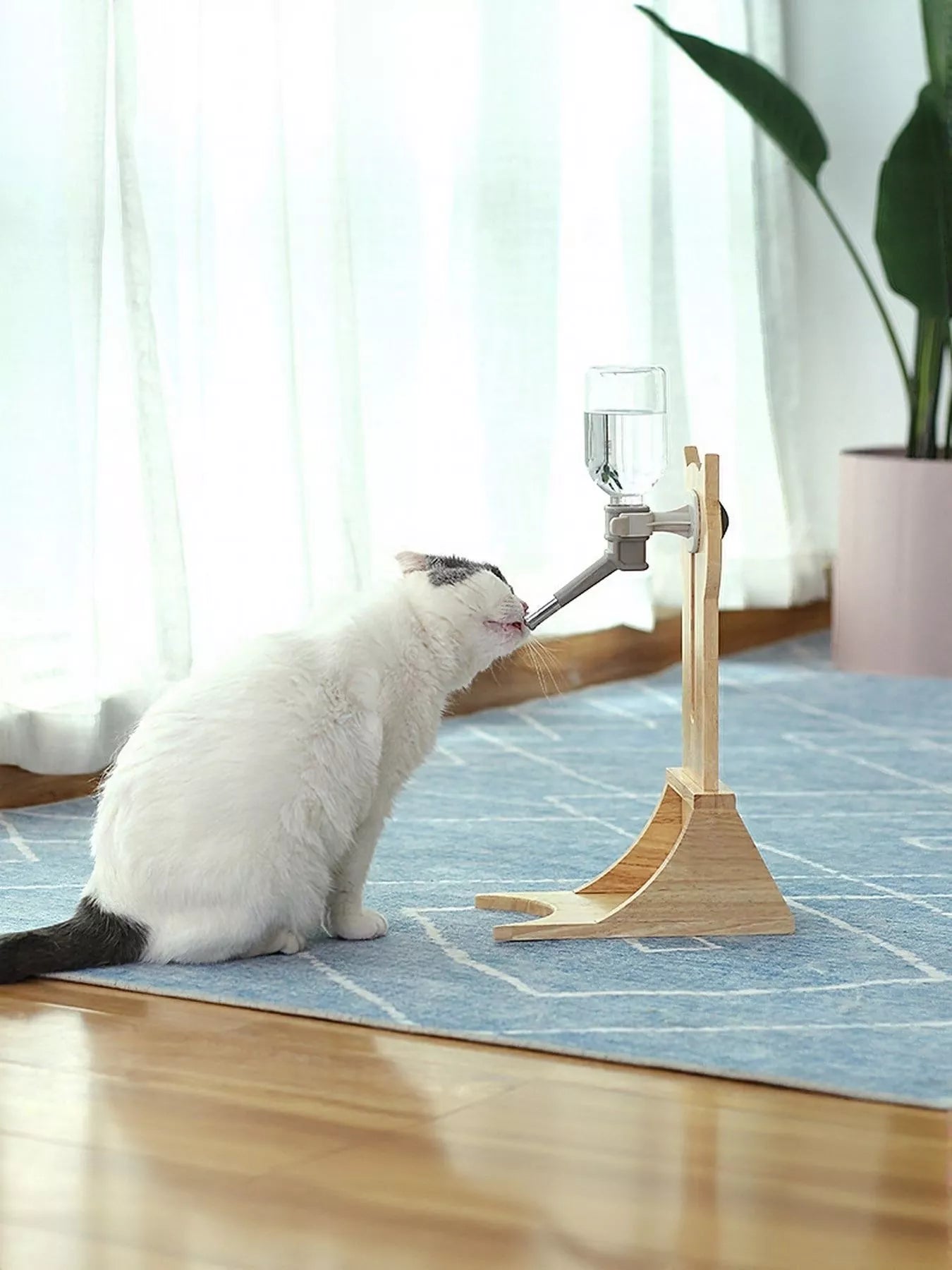 Wooden Pet Water Dispenser Elevated Durable Stylish Drinking Feeding Station