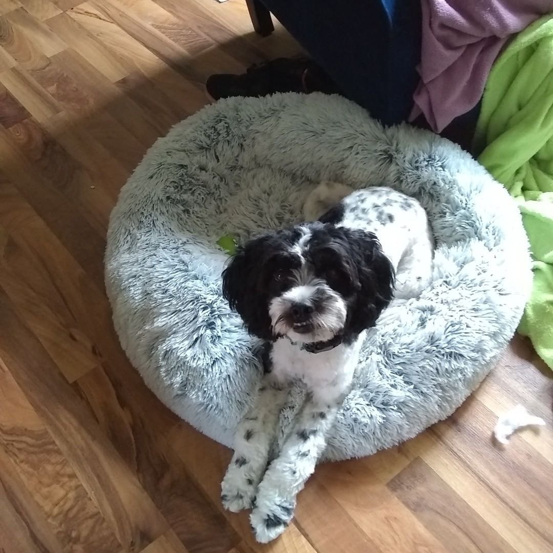 OrthoPlush Pet Bed Snowflake White Two Tone Comfortable Sleeping Cushion