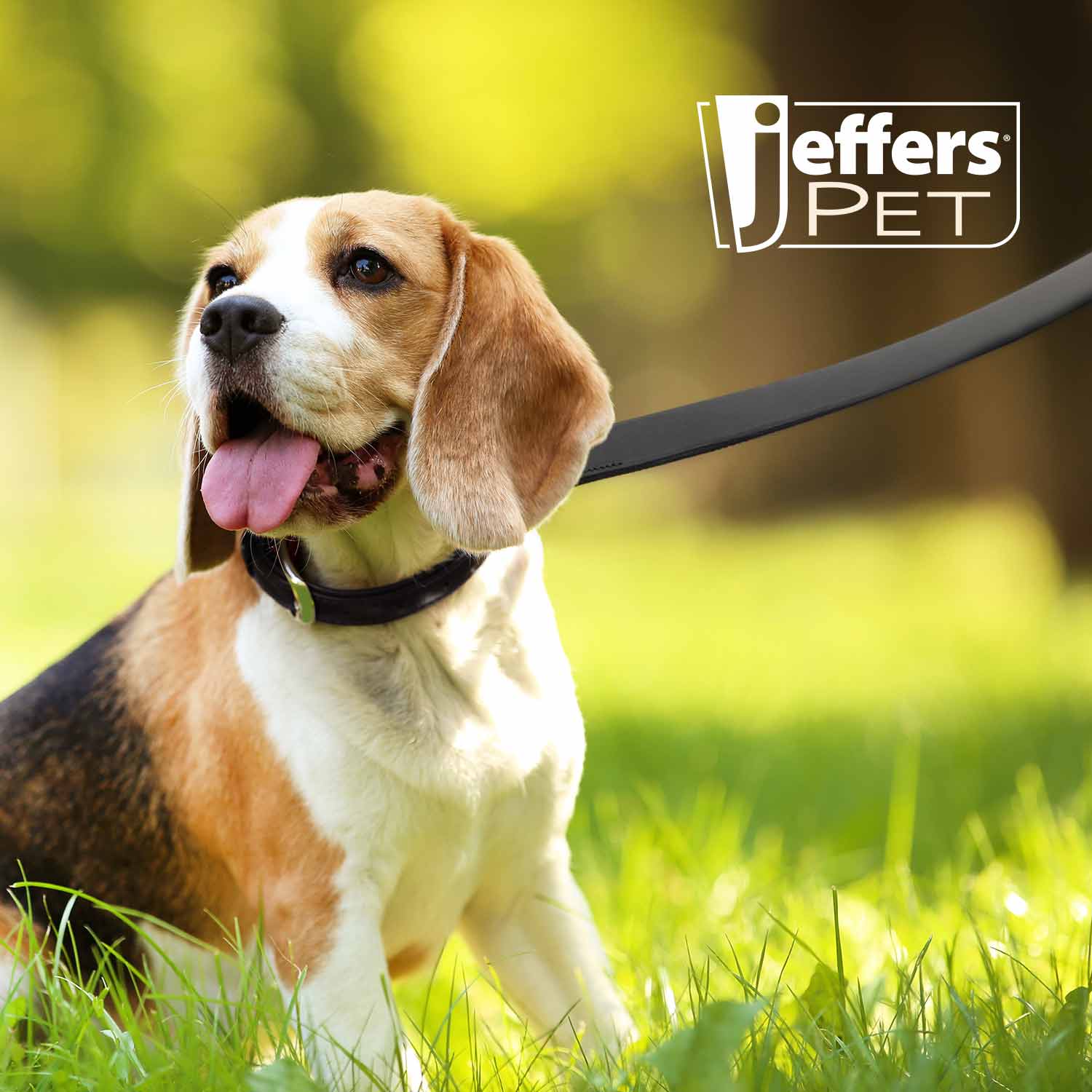 Black Padded Leather Pet Leash Durable Comfortable Dog Walking Lead