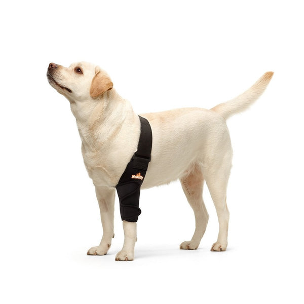 Pet Supplies