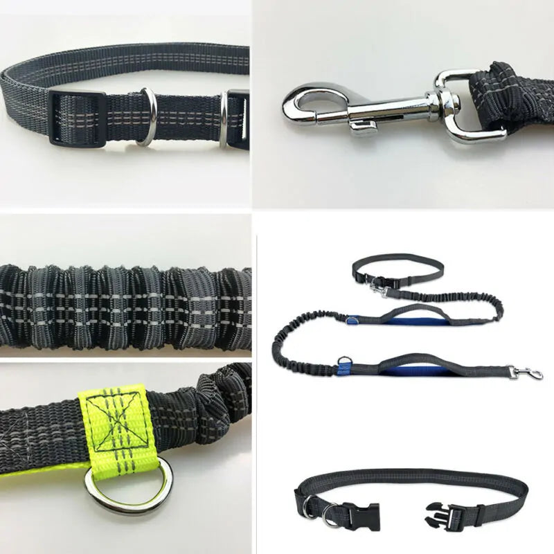 Reflective Rope Pet Leash Durable Walking Lead for Dogs Cats